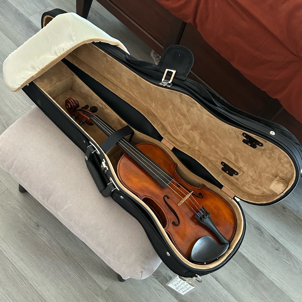 Stringed Instrument